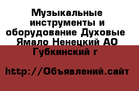 Музыкальные инструменты и оборудование Духовые. Ямало-Ненецкий АО,Губкинский г.